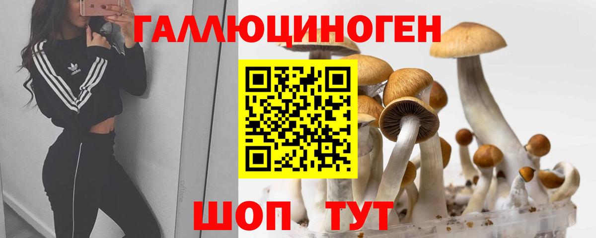 Псилоцибиновые грибы Psilocybine cubensis  Псилоцибиновые грибы GOLDEN TEACHER  Вход с VPN  Ессентуки 